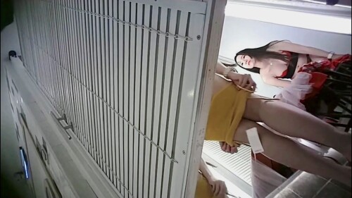 TP jp.mp4 003595625 1536x864