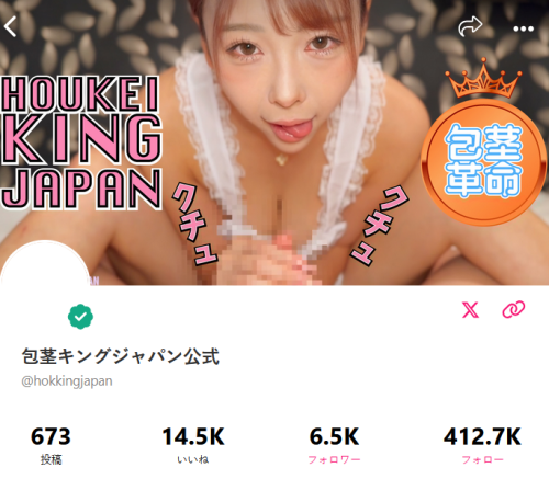 hokkingjapan