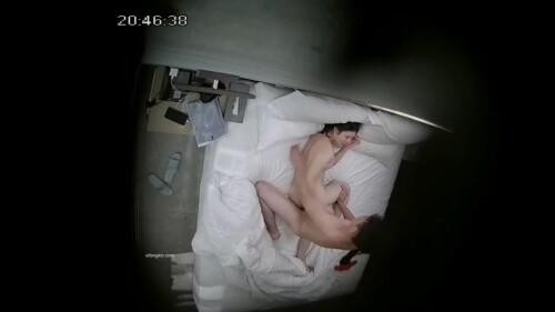 chn24082808.mp4 000180280 1536x864