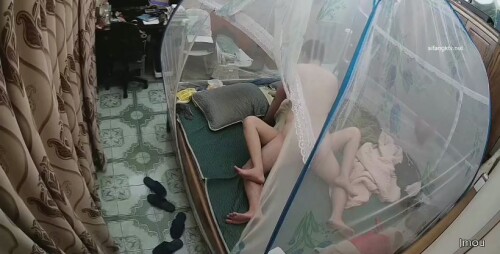 chn24100912.mp4 000823080