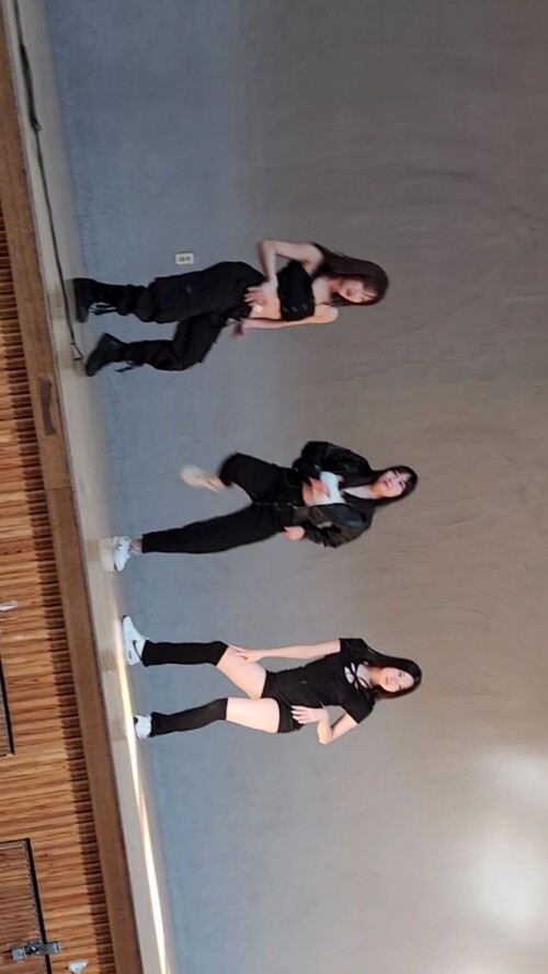 대학교 댄스동아리 중학교 공연 직캠 유두노출.mp4 000080166 864x1536