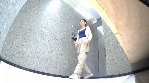 chn24110811.mp4 000365833 1536x864