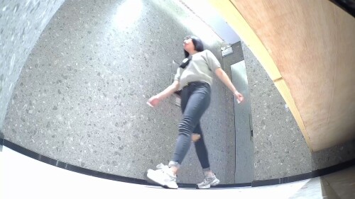 chn24110811.mp4 000425533 1536x864