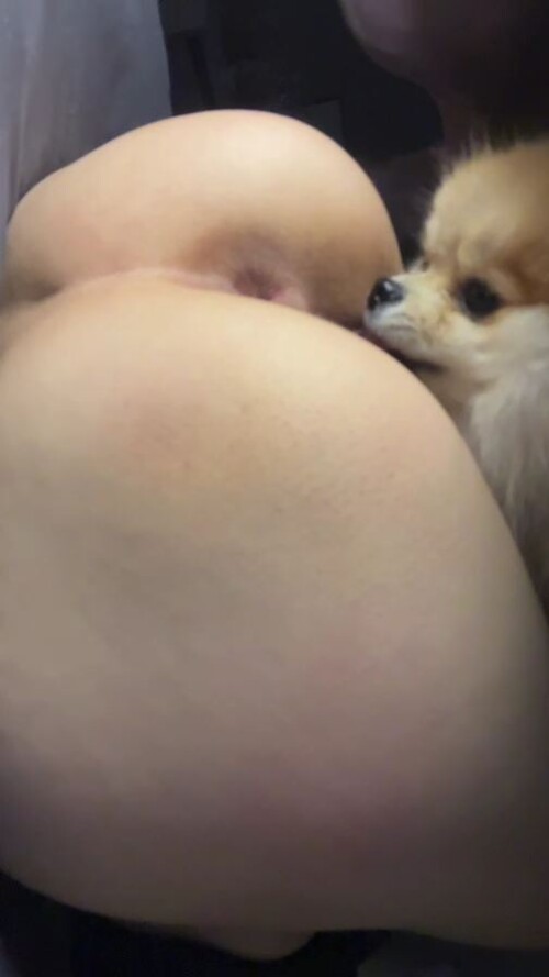1.mp4_000326763.jpeg