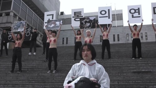 피흘리는 젖꼭지.mp4 000000900