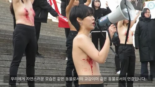 피흘리는 젖꼭지.mp4 000133443