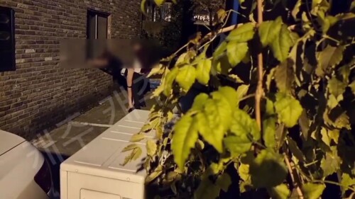 암캐의 결혼전 깡패남친.mp4 000505989