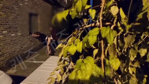 암캐의 결혼전 깡패남친.mp4 000548488