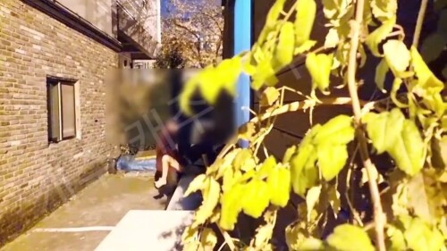 암캐의 결혼전 깡패남친.mp4 000649319