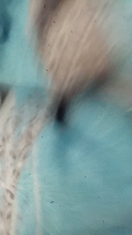 e0eb47475a_3KuiVjBD_13f906ae83b964bdb1c7bb18092add8b5dd18db3