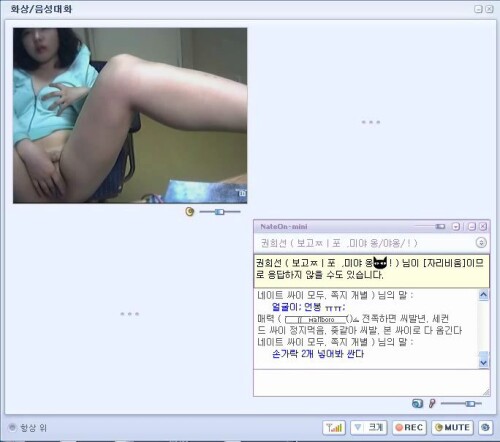 네이트온 권희선.avi 002491300