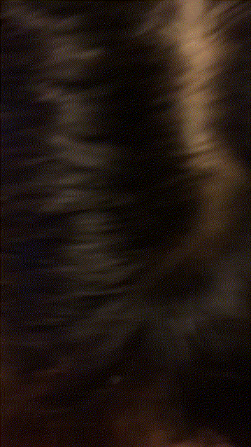 2a2a2659355281ab1db00edf121a966d_1749617305_0127