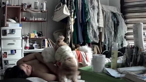 강아지 보빨 자위.avi 000225800
