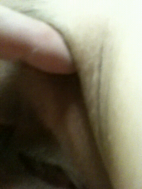 03d3474c7be35e365f3507cb2783b4c8_1751563013_1576