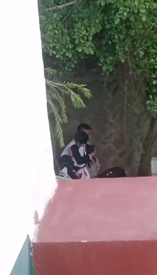 chn25071710.mp4 000212178 584x1024