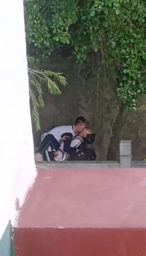 chn25071710.mp4 000216964 584x1024