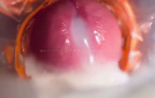 chn25091409.mp4 000037100 1024x651