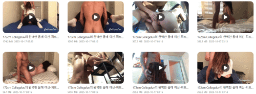 d9e158ccd7a43a9d5b7a81f63b313e09_TPgjz7yo_8232a136475800401ad2fd4a3d470ccc4a77ce36