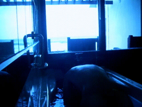 398a5f403d77cfe36305776c614ac51d_1764139170_6863
